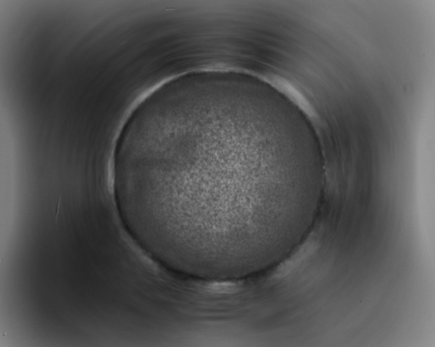 X0000094340839200711162008