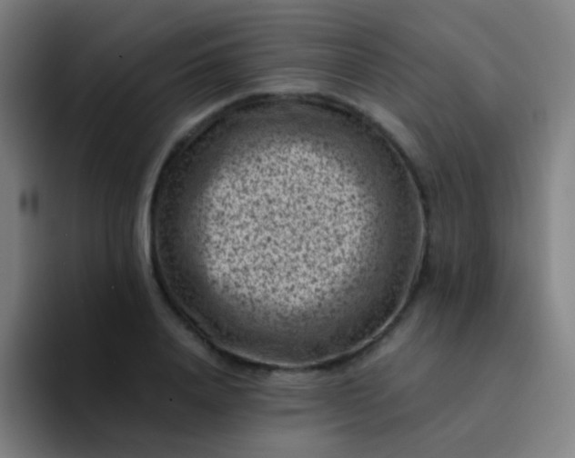 X0000094340840200711162008