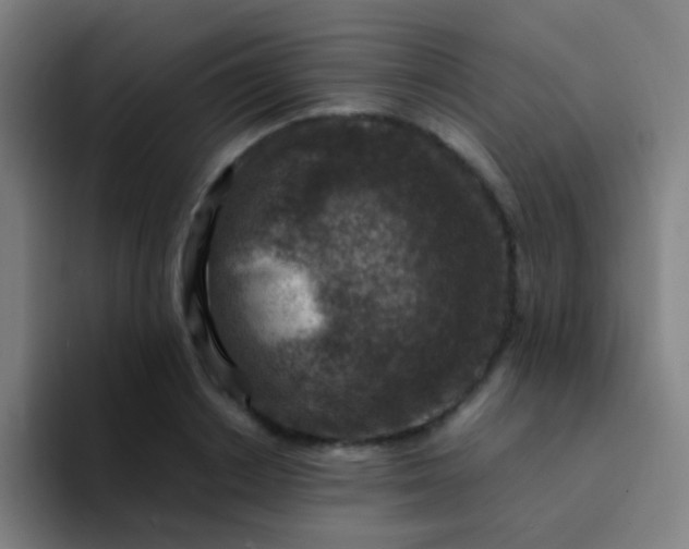 X0000094340842200711162008