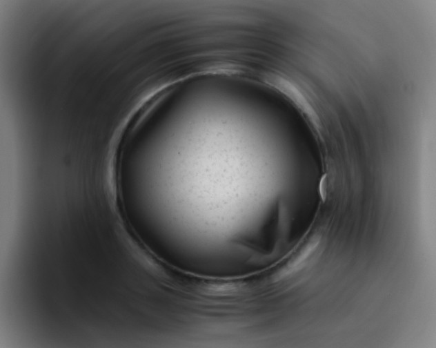 X0000094340843200711162008