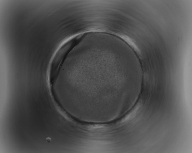 X0000094340846200711162008