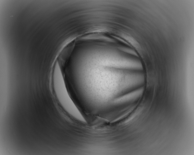 X0000094340850200711162008