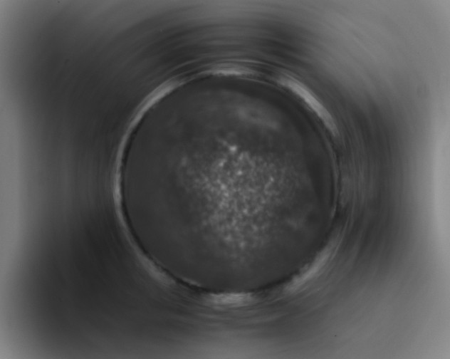 X0000094340853200711162008