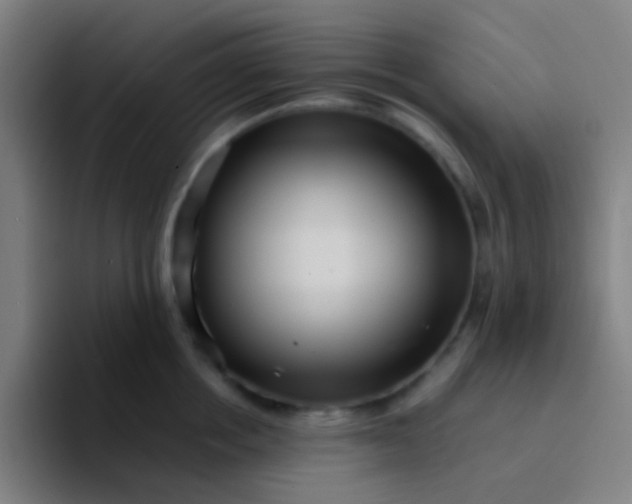 X0000094340858200711162008