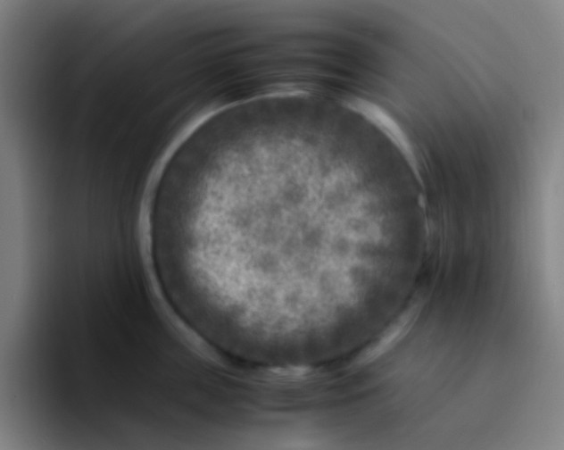 X0000094340859200711162008