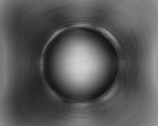 X0000094340860200711162008