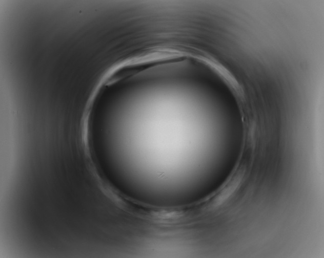 X0000094340862200711162008