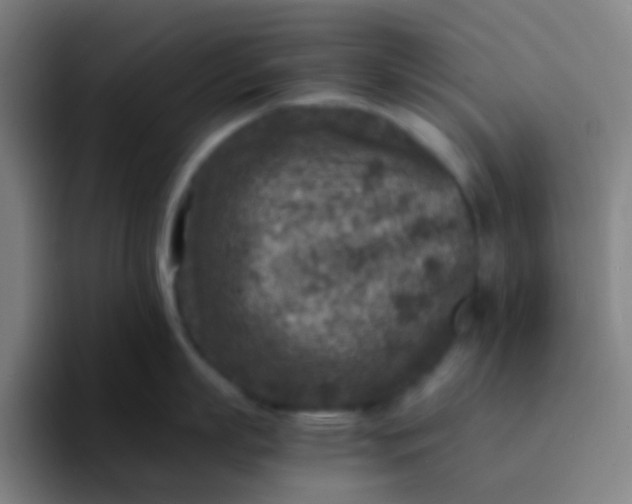 X0000094340863200711162008