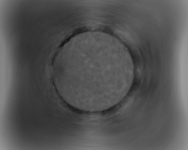 X0000094340865200711162008