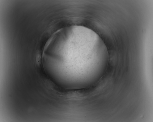 X0000094340866200711162008