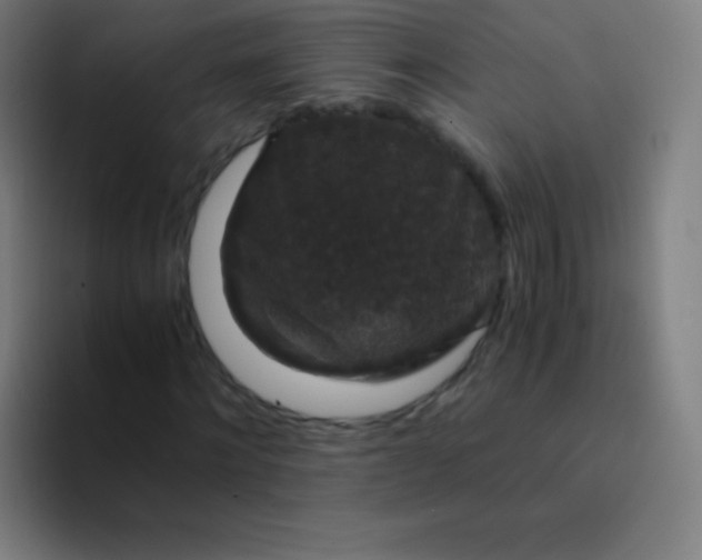 X0000094340868200711162008