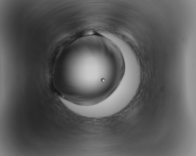 X0000094340869200711162008