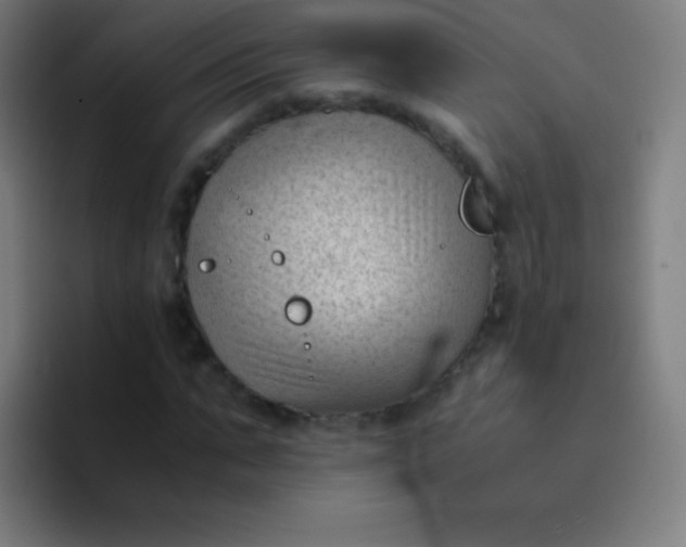 X0000094340871200711162008