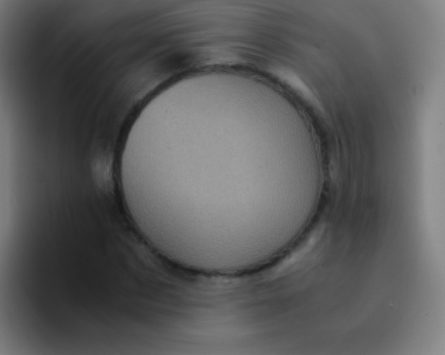 X0000094340873200711162008