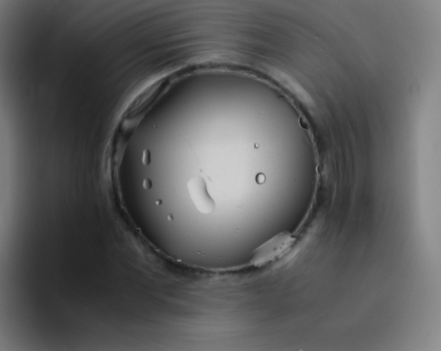 X0000094340877200711162008