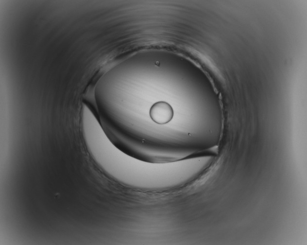 X0000094340881200711162008