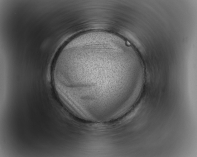 X0000094340883200711162008