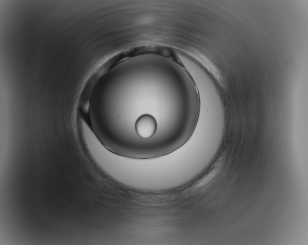 X0000094340885200711162007