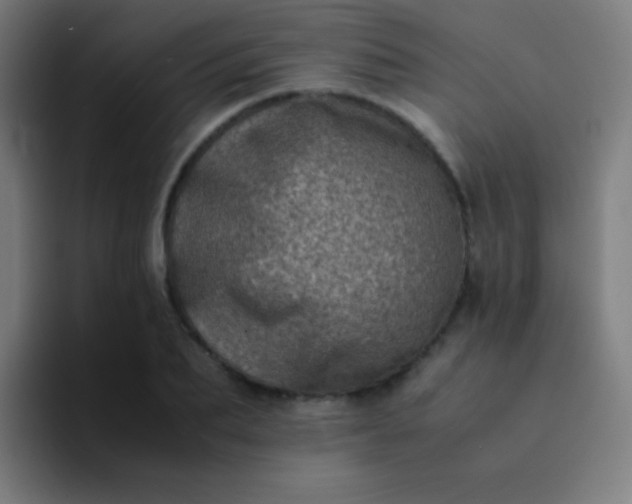 X0000094340887200711162007