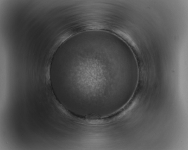 X0000094340889200711162007