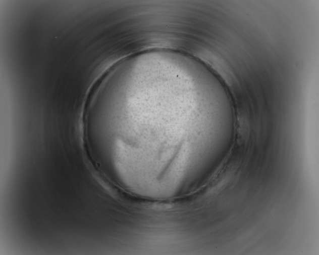 X0000094340890200711162007