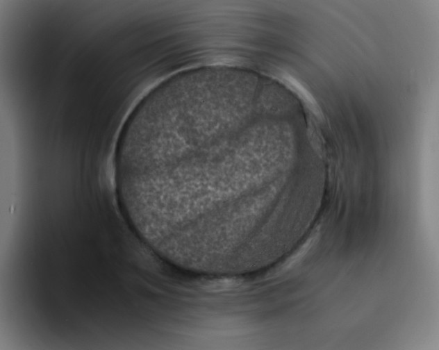 X0000094340891200711162007