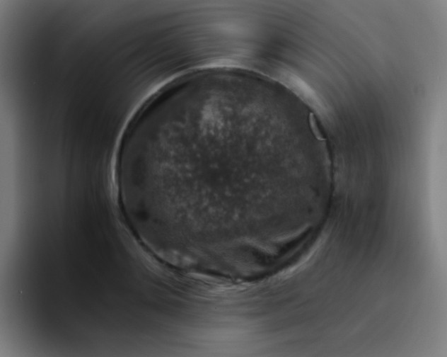 X0000094340892200711162007