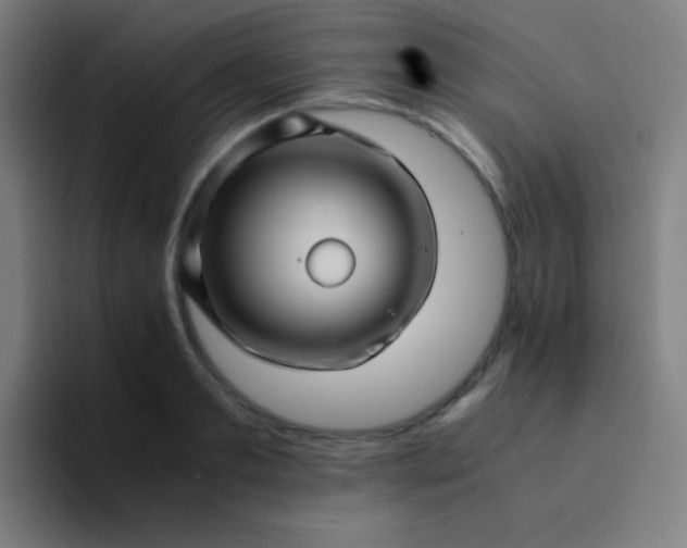 X0000094340893200711162007