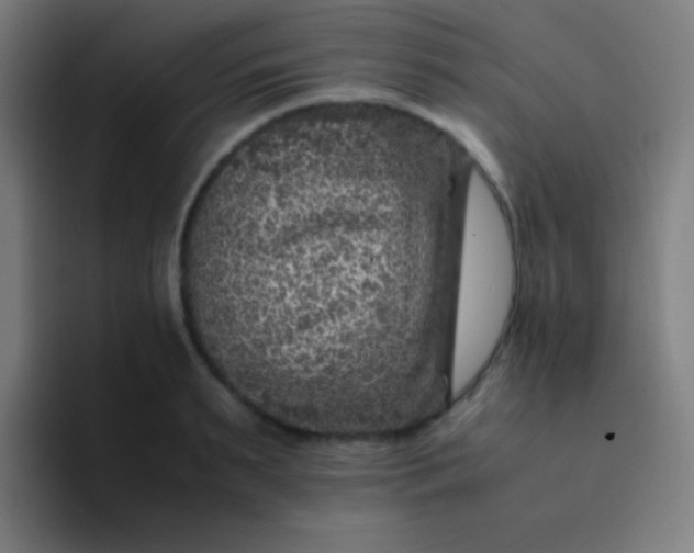 X0000094340895200711162007