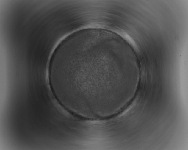 X0000094340896200711162007