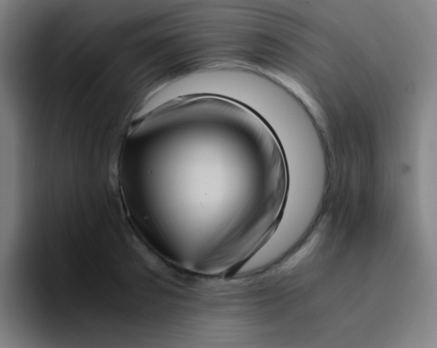 X0000094340897200711162007