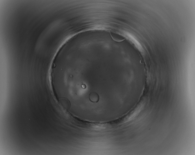 X0000094340899200711162007