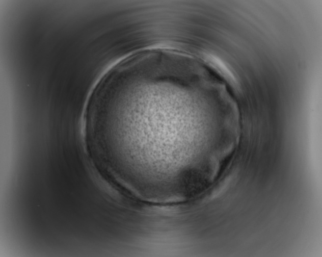 X0000094340900200711162007