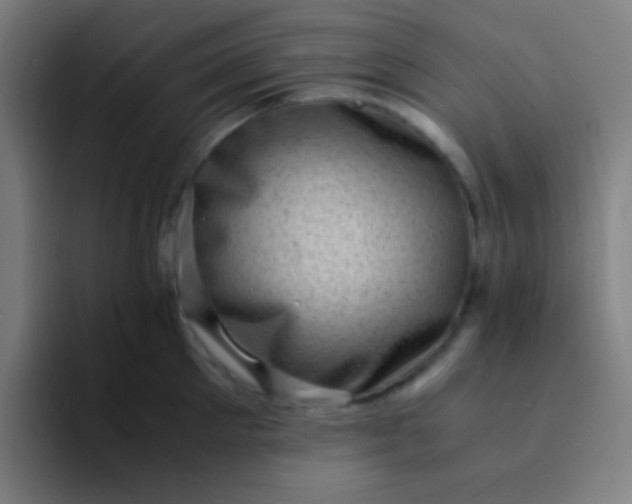 X0000094340905200711162007