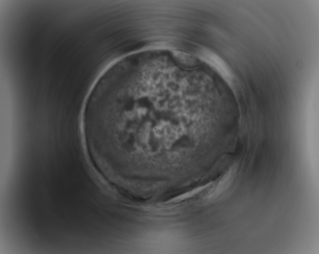 X0000094340907200711162007