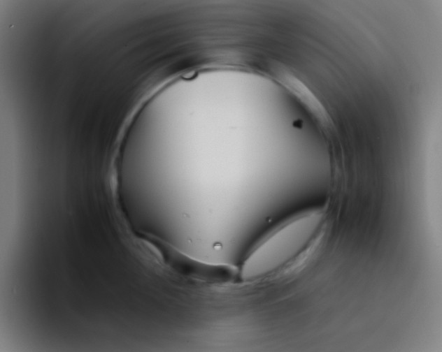 X0000094340908200711162007