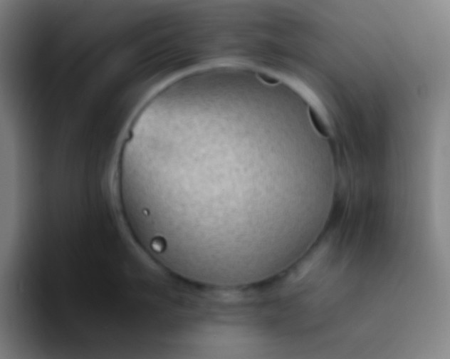 X0000094340911200711162007