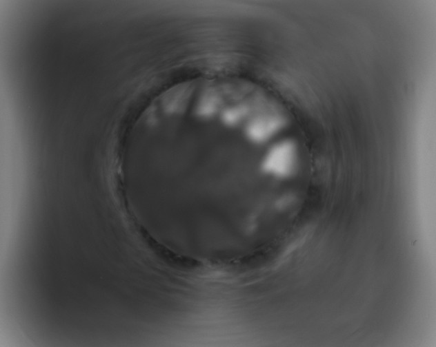 X0000094340913200711162007