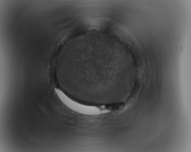 X0000094340916200711162007