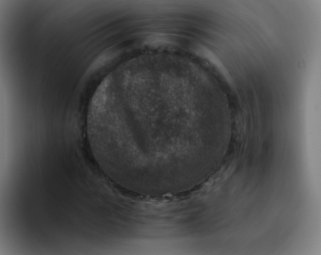 X0000094340919200711162007