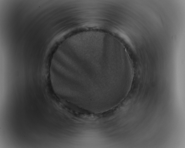 X0000094340920200711162007