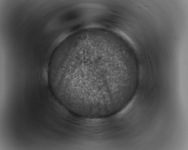 X0000094340921200711162007