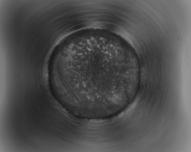 X0000094340923200711162007