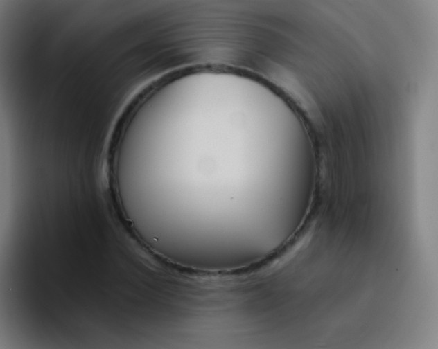 X0000094340924200711162007