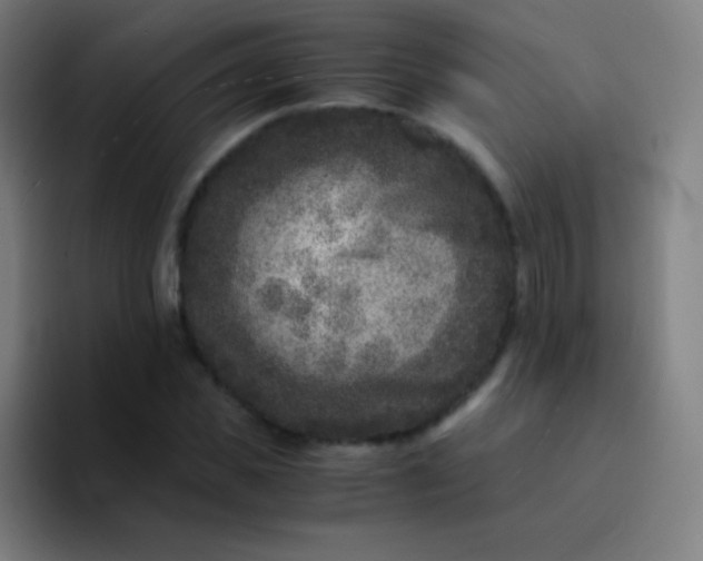 X0000094340925200711162007