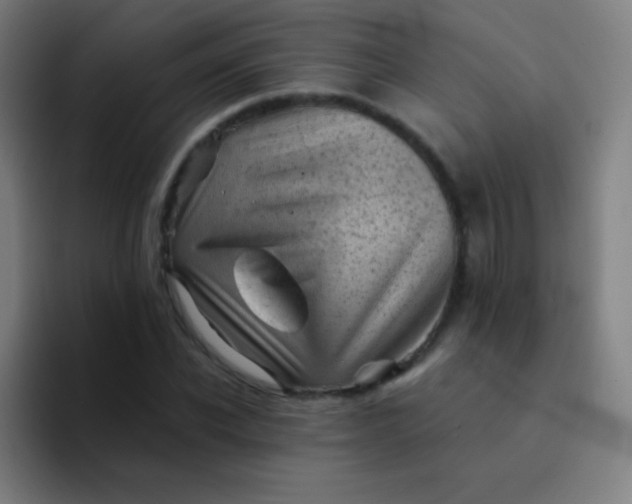 X0000094340926200711162007