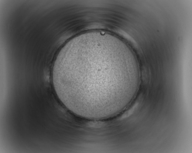 X0000094340929200711162007