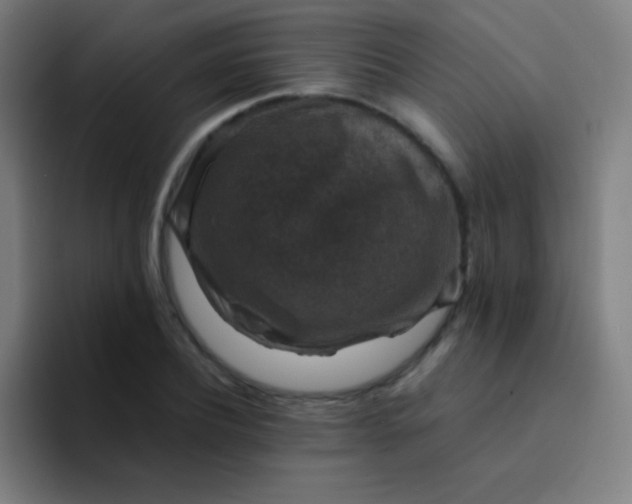 X0000094340932200711162007