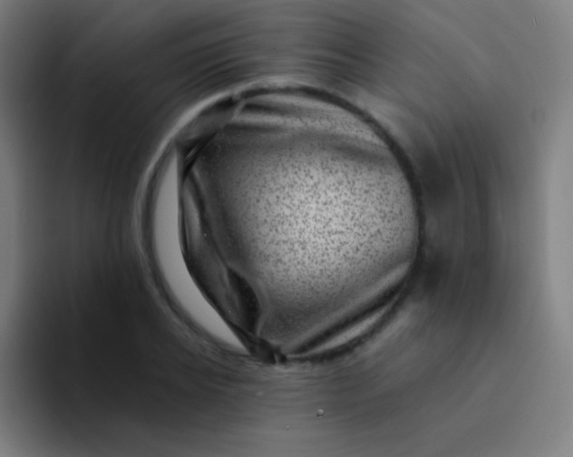 X0000094340934200711162007