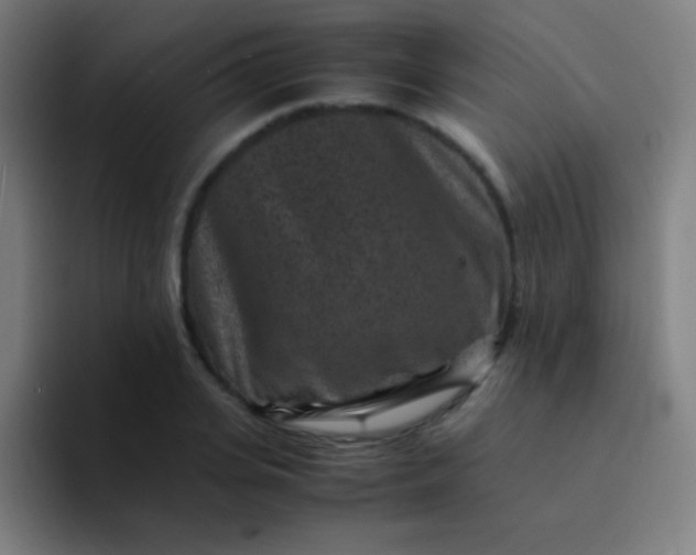 X0000094340935200711162007